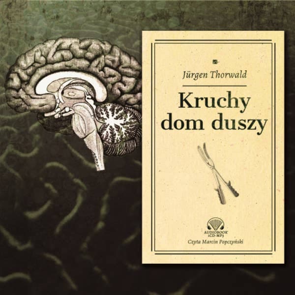 Kruchy dom duszy